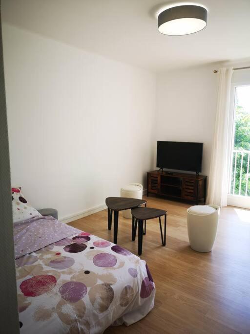 Apartamento Pres De La Timone - Parking Et Wifi Gratuit Marsella